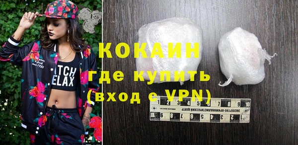 хмурый Дмитров