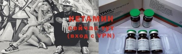 хмурый Дмитров