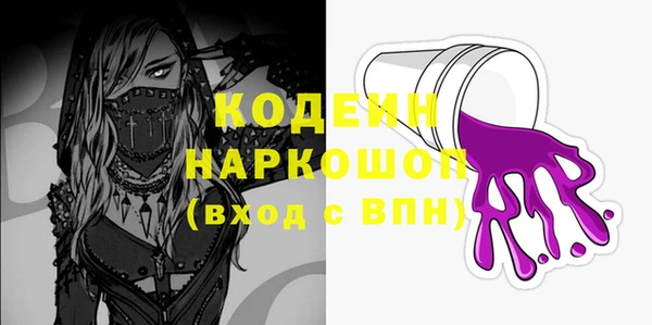хмурый Дмитров