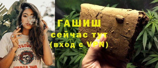 хмурый Дмитров