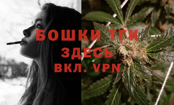 хмурый Дмитров