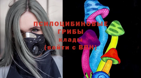 хмурый Дмитров