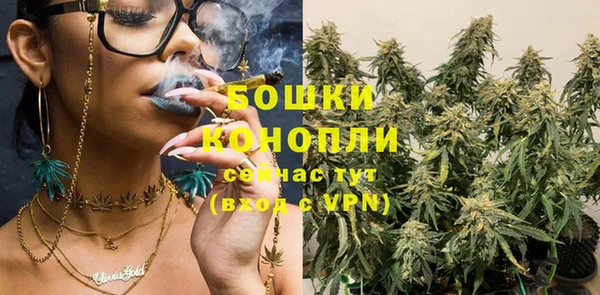 spice Струнино