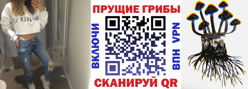 Псилоцибиновые грибы Cubensis  Купить закладки  Барабинск 