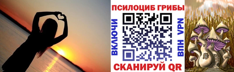Галлюциногенные грибы мицелий Барабинск